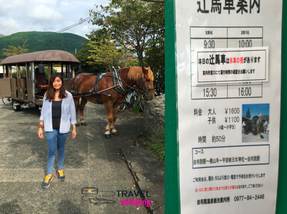 horse carriage in yufuin