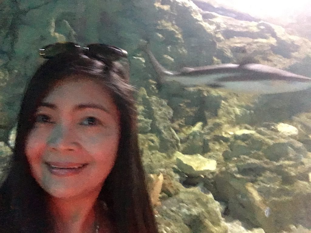 Underwater World Aquarium In Guam