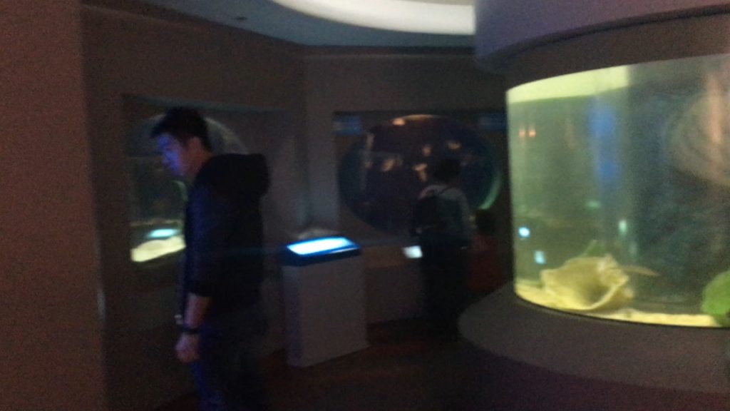 Underwater World Aquarium In Guam