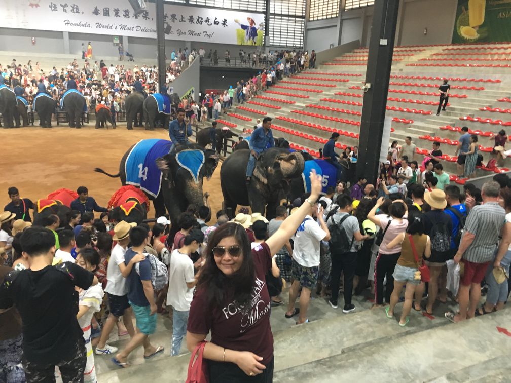 Thailand elephant show