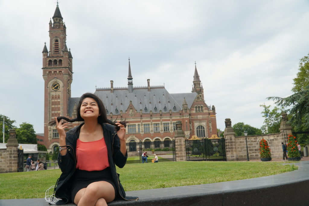 The Peace Palace the Hague