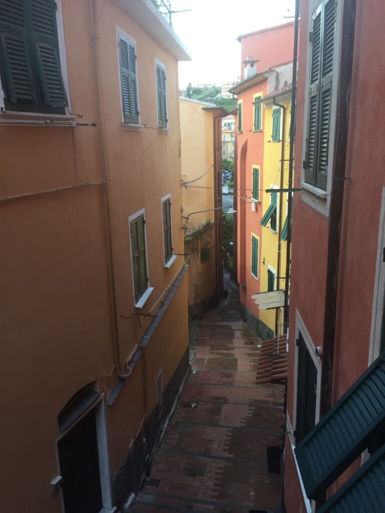 Hotel Shelly E Delle Palme Room View