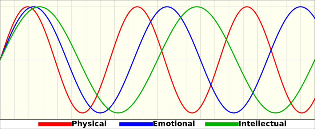 WHAT IS Biorhythm