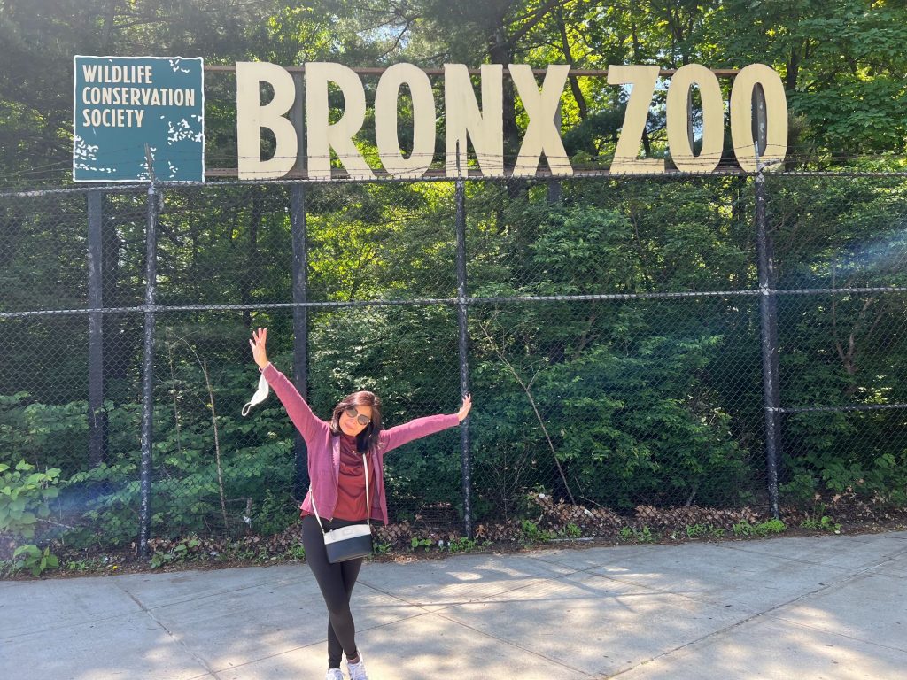 bronx zoo